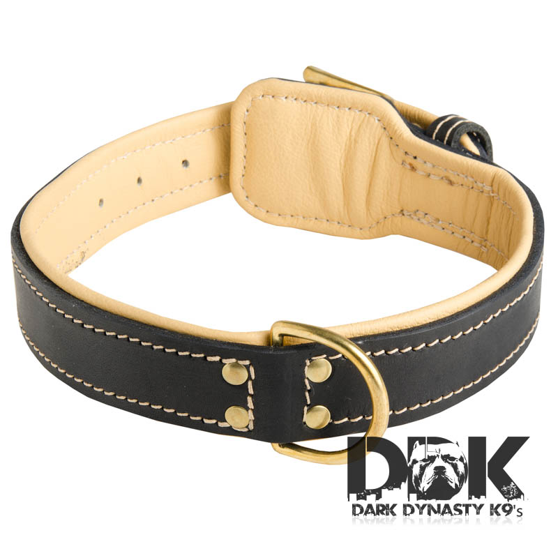 padded leather collar